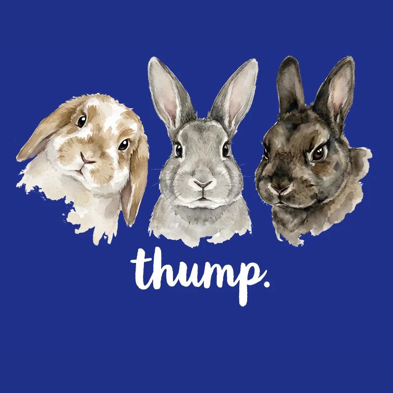 Fun rabbit knocking for rabbit lovers