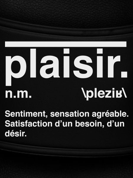 Pleasure Definition Dictionary Style