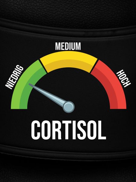 Cortisol Messgerät