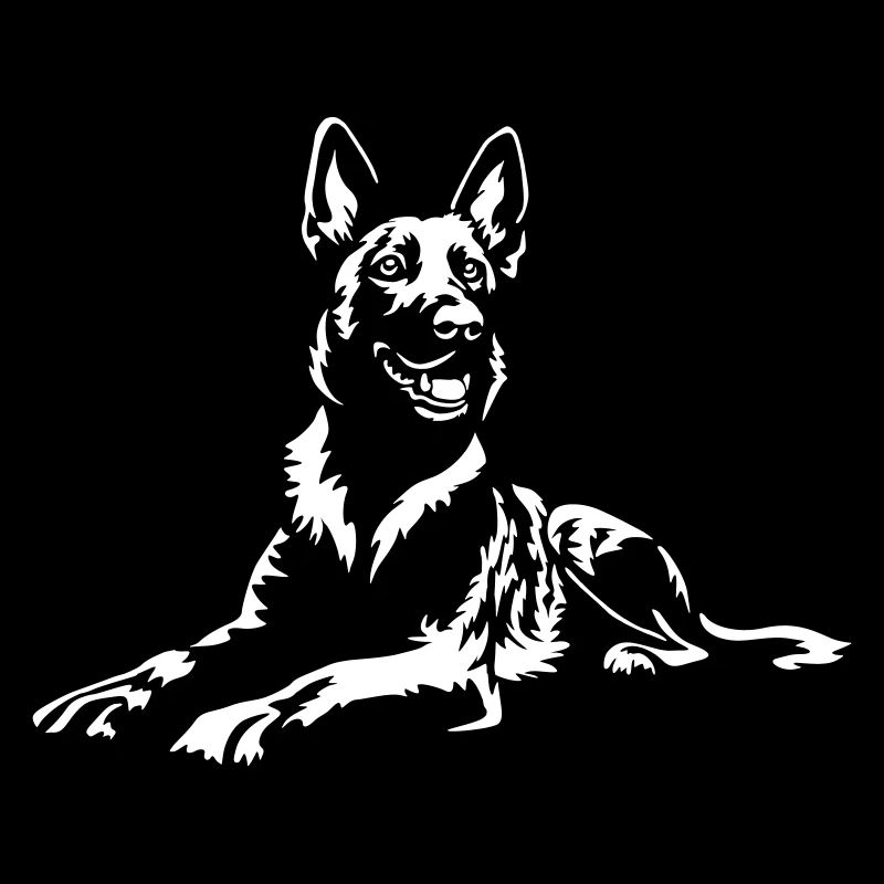 Hollandse Herder "Black Edition"