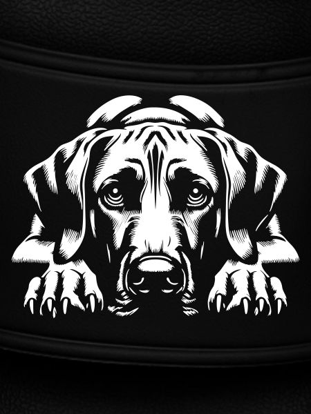 Rhodesian Ridgeback "Black Edition"