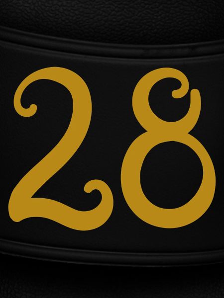 28