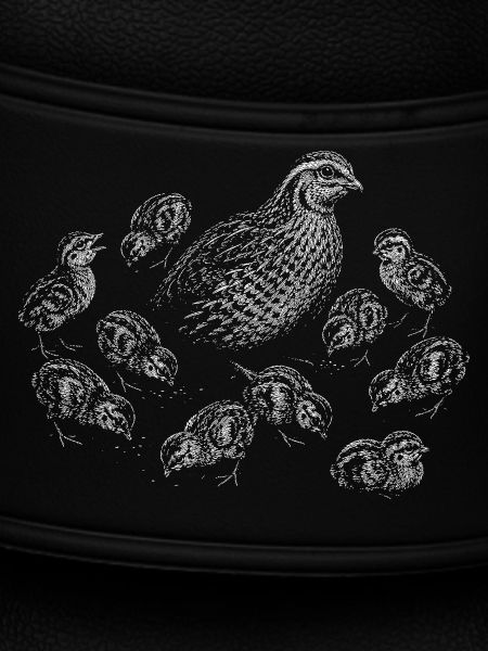 Quail