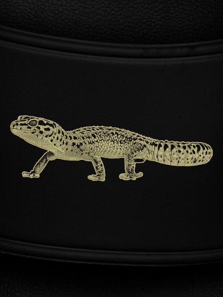 Leopard gecko