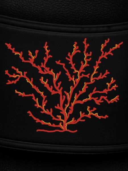 coral