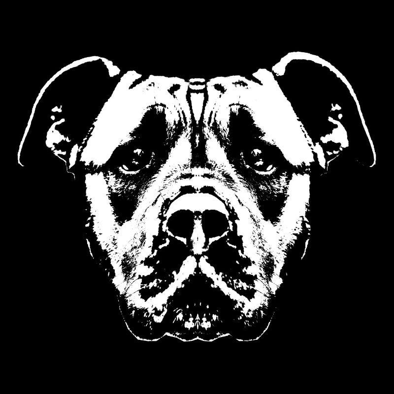 Hund / Kopf / Weiß / Treu