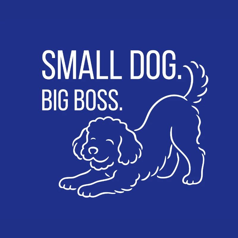 Zwergpudel, Malti-poo oder Königspudel 