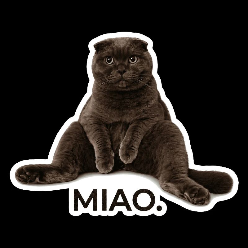 The ultimate Scottish Fold chill vibe – "Miao."