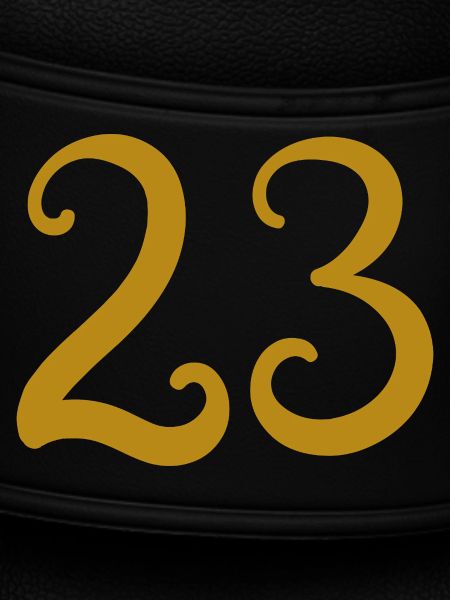 23