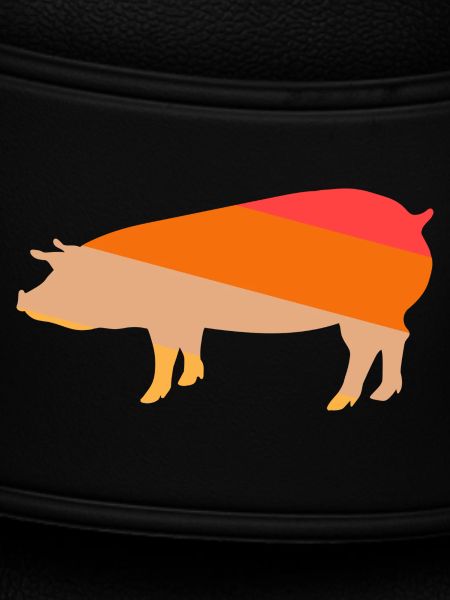 Pig