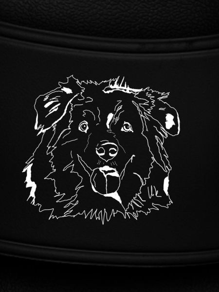 Australian Shepherd