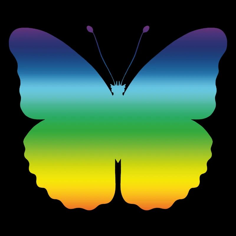 Papillon Papillon Monarque Printemps Cadeau coloré