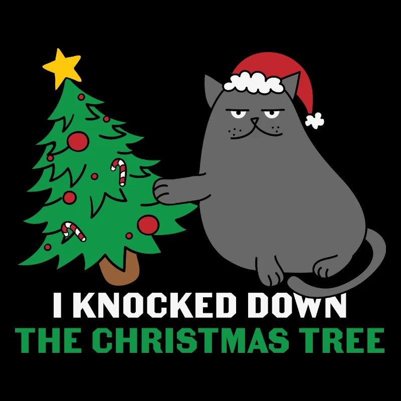 Chat cadeau - Noël cadeau chat