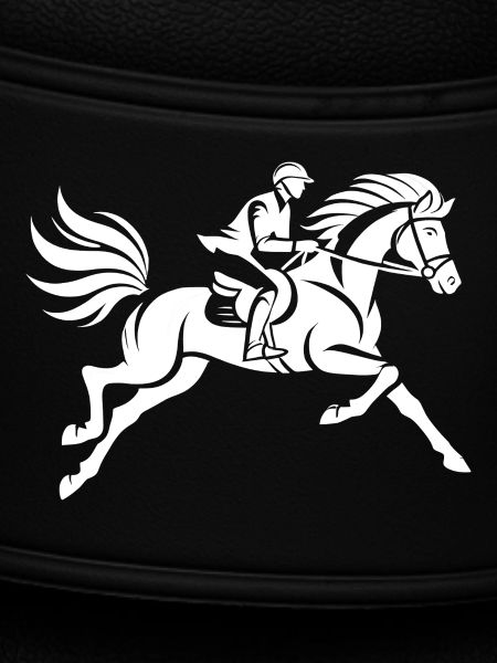 Cavalier et cheval