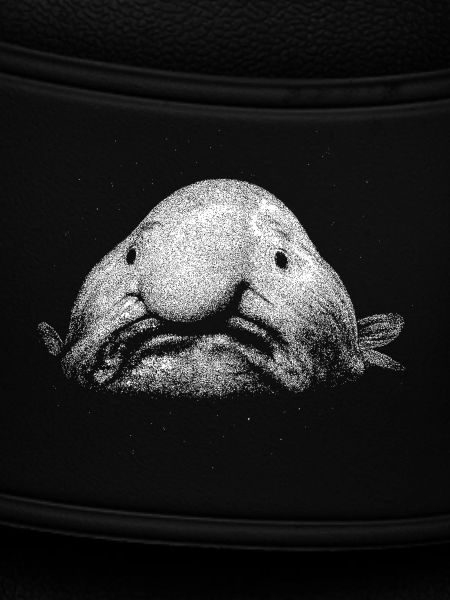 A blob fish