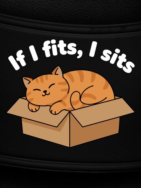 Katzenschnurren im Karton Meme