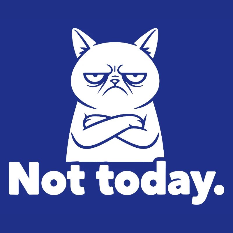 Grim Cat Not Today Meme