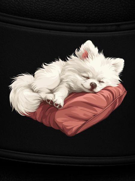 Sleeping Spitz puppy