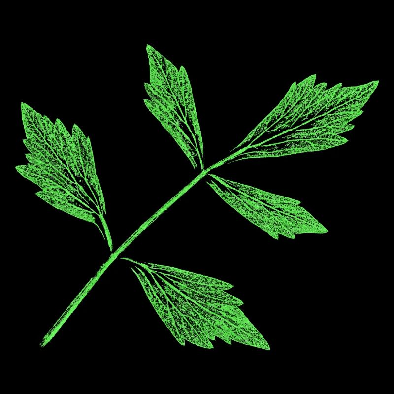 Leaf - Lovage / Herb Plant