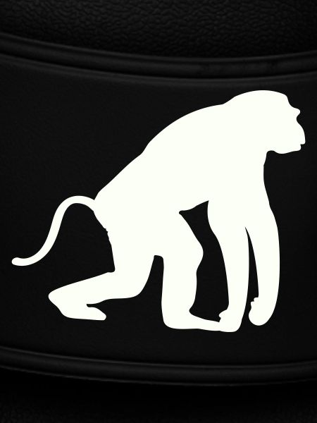 Monkey Silhouette