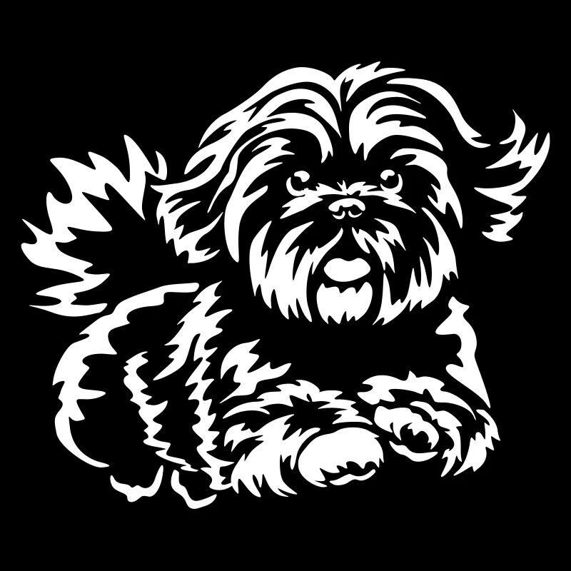 Shih-Tzu "Black Edition"