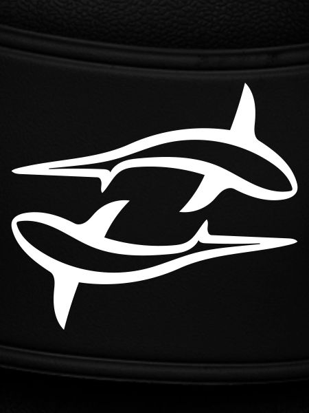 Zwei Fische