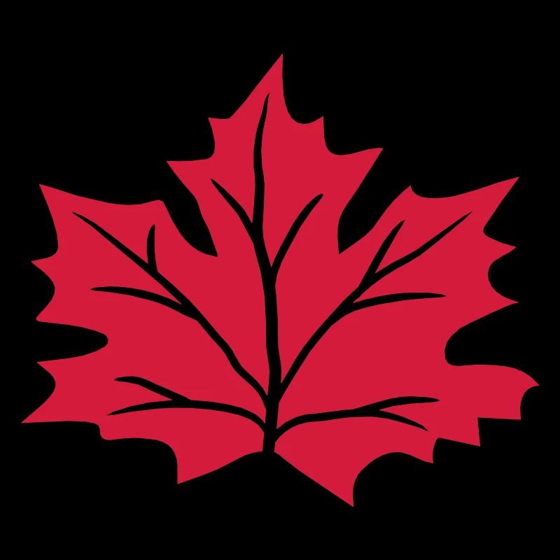 feuille d'érable rouge automne hiver rouge coloré couleurs bla