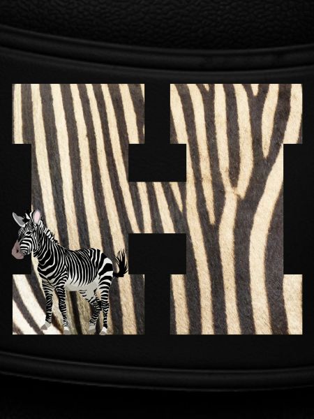 zebra h