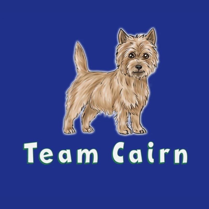 Team Cairn