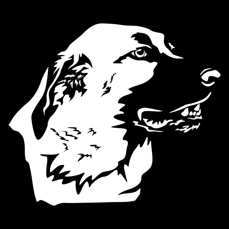 Kangal Head "Black Edition"