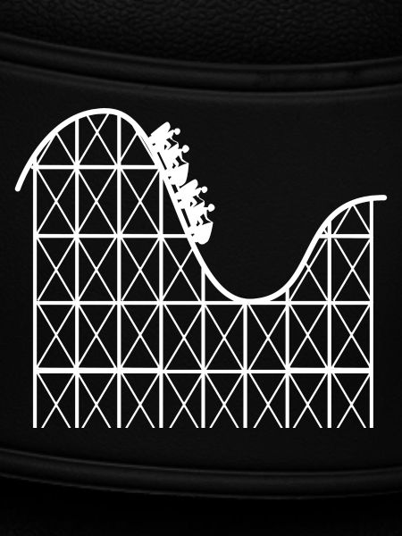Roller coaster engineer