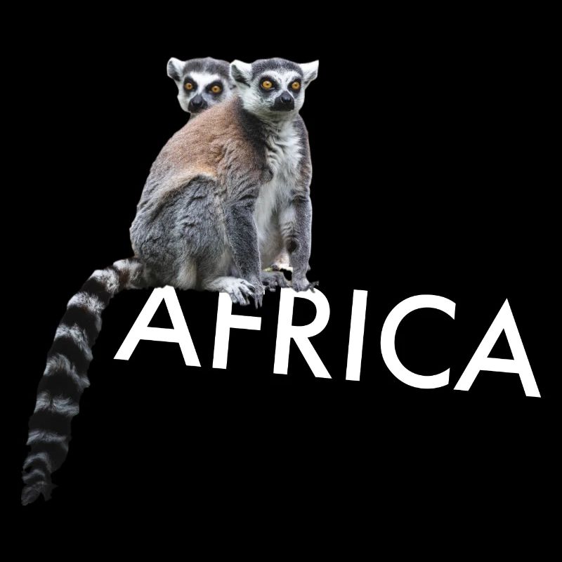 Lemuren Affe Afrika