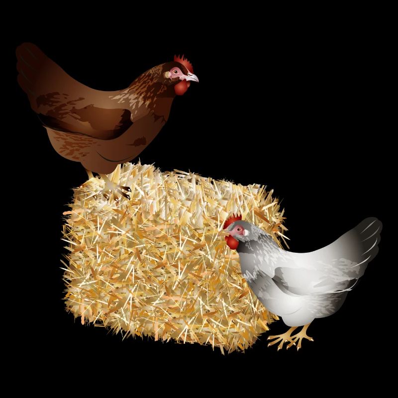 two chickens on a bale of straw