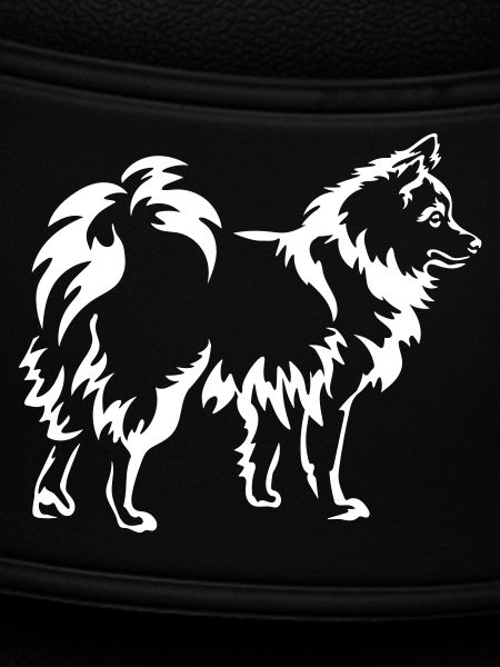 Spitz "Black Edition"