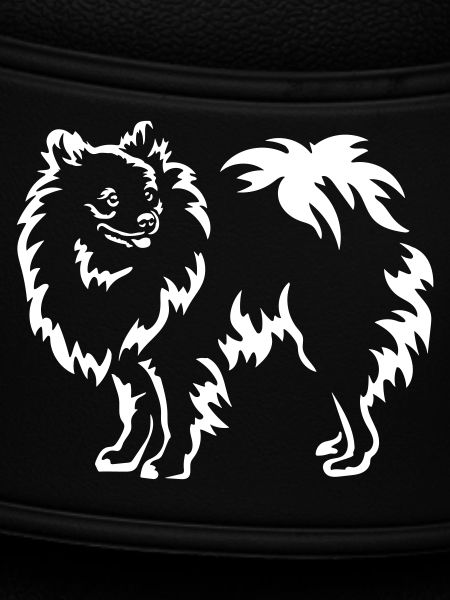 Spitz "Black Edition"