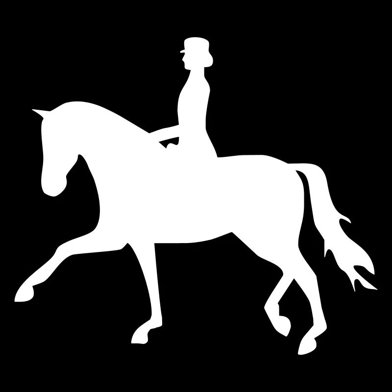 Dressurpferd