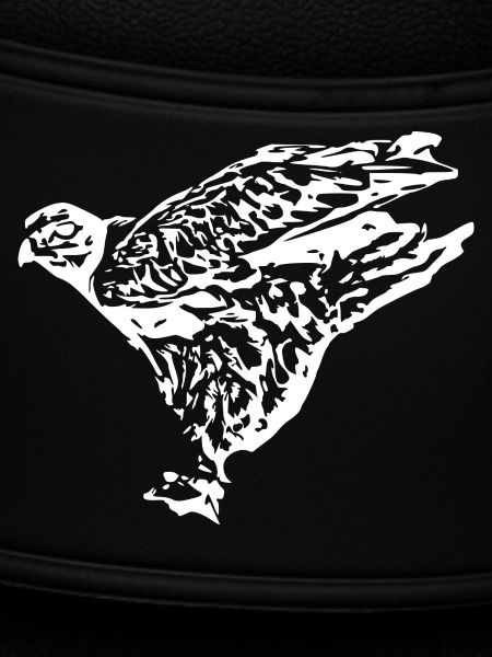 Wanderfalke Faucan Vogelräuber