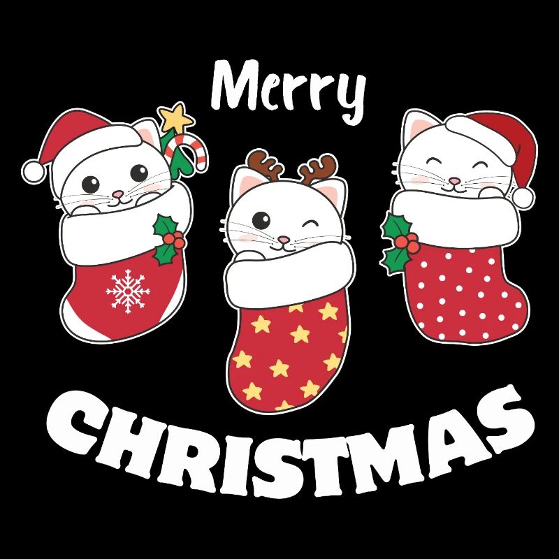 Des chats mignons en chaussettes de Noël pour Noël