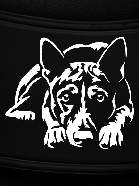 Basenji "Black Edition"