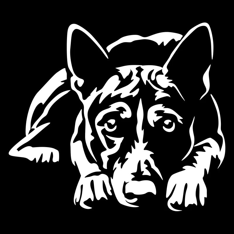Basenji "Black Edition"
