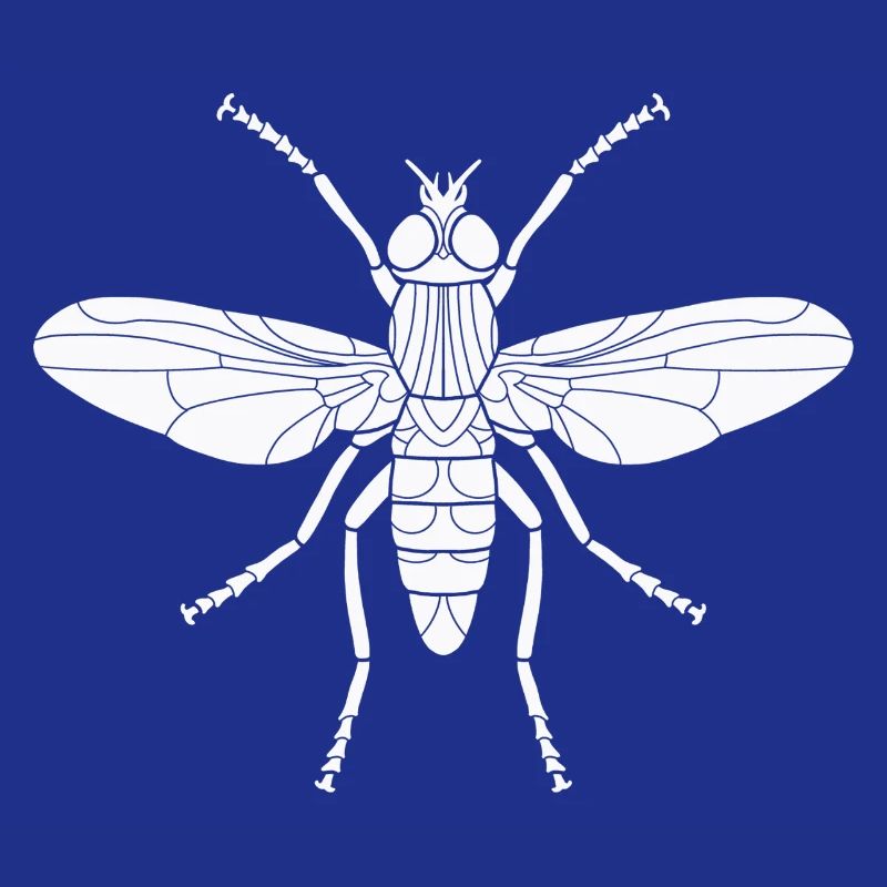 Stubenfliege