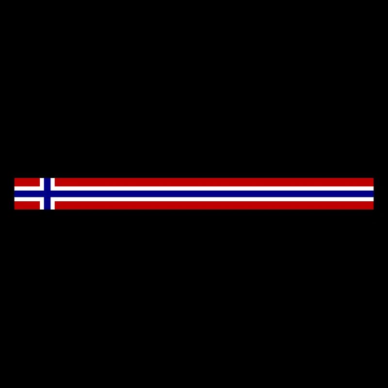 Norway Flag Flag