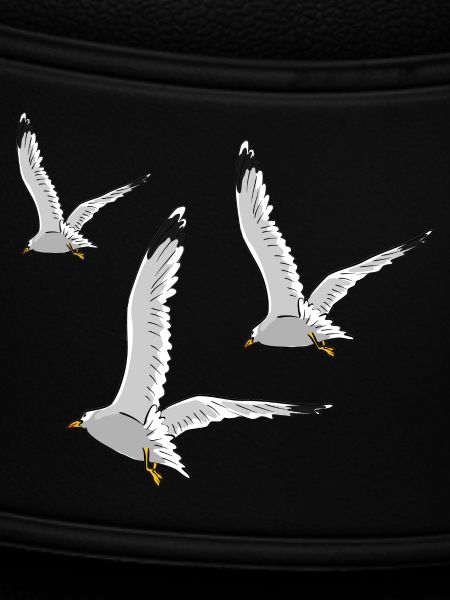 gull