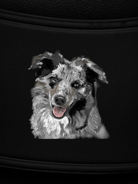 Australian Shepherd