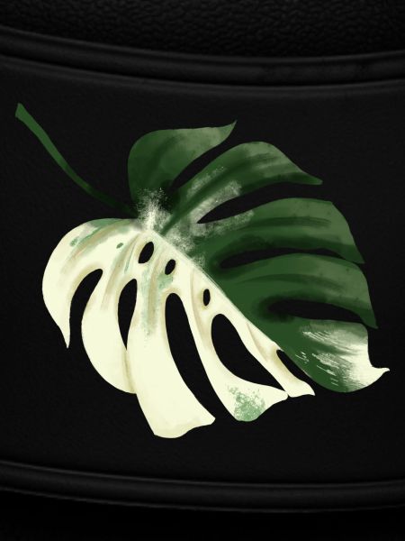 Conception premium Monstera