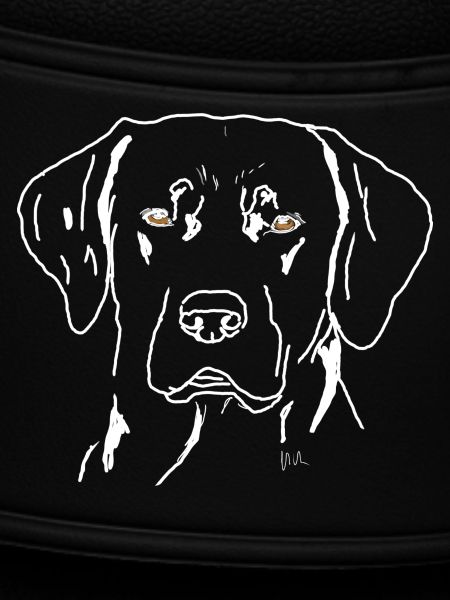 Labrador