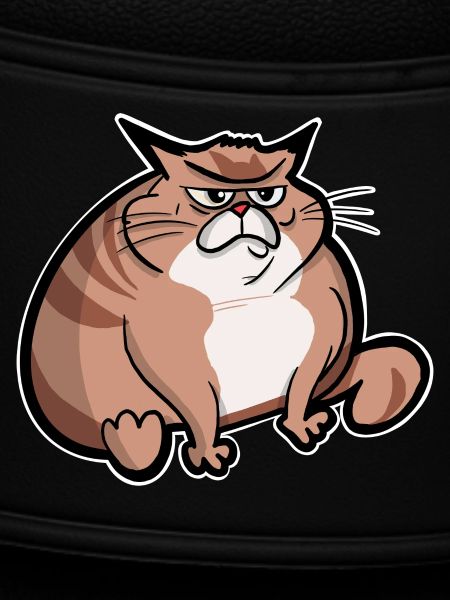 Dicke Katze