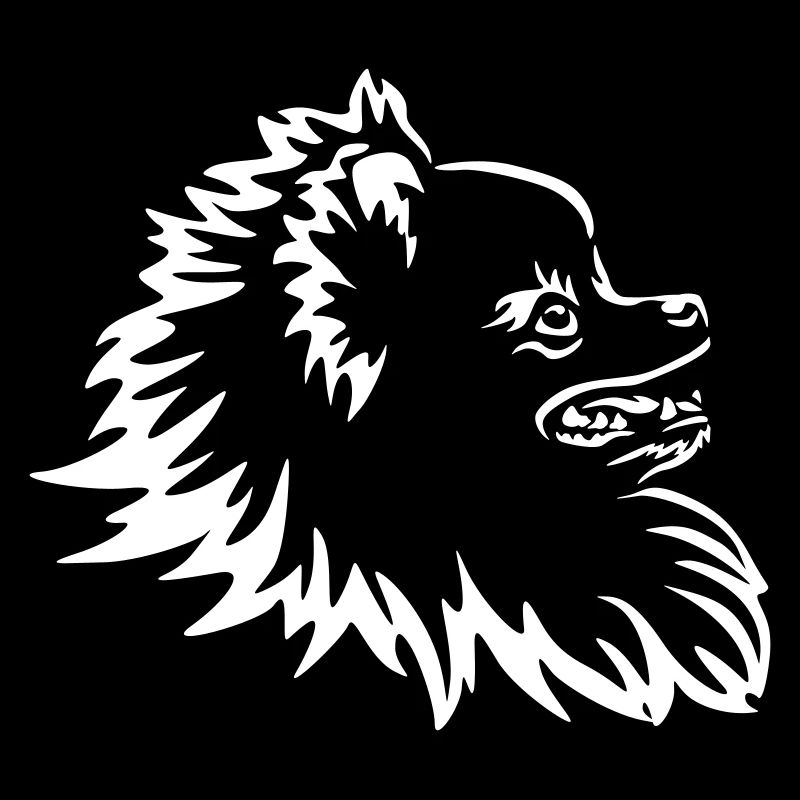 Tête de Poméranie « Black Edition »