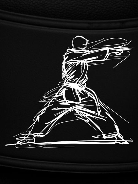 Karateka Sketch