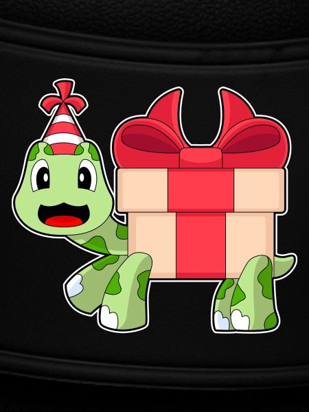 Turtle Birthday Package